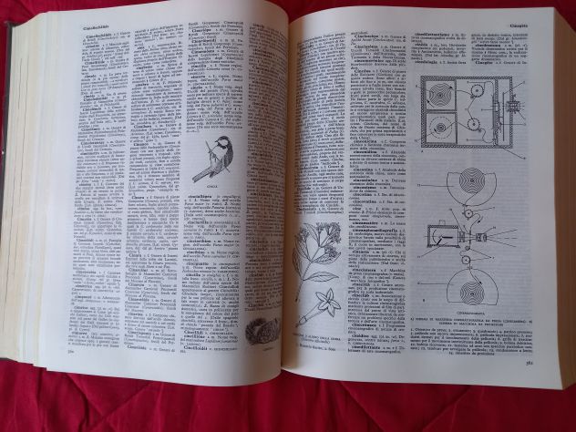 Devoto-Oli Vocabolario illustrato della lingua italiana - Foto 4