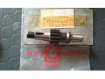 Albero primario Garelli Gulp Flex 50 GR 2000027261
