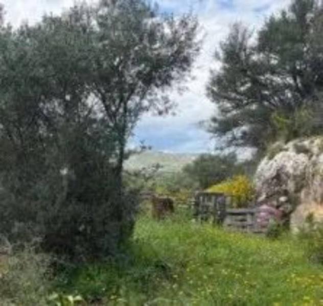 Immobile in asta di 2400 m² con più di 5 locali in vendita a Canicattini Bagni - Foto 12