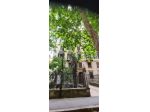 PRIVATO affitta camere a studentesse 340 euro