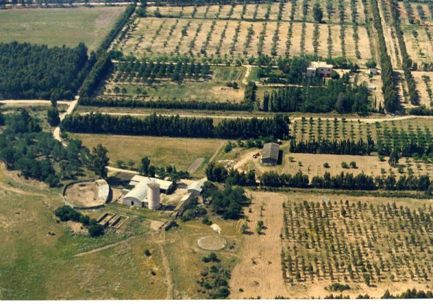 ANTICA PROPRIETA' AGRICOLA A 7 kM DA CAPO FERRATO - Foto 3