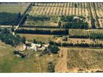 VENDO  PROPRIETA' AGRICOLA  DI QUASI 100 HA. CON FABBRICATI 7 KM DA CAPO FERRATO