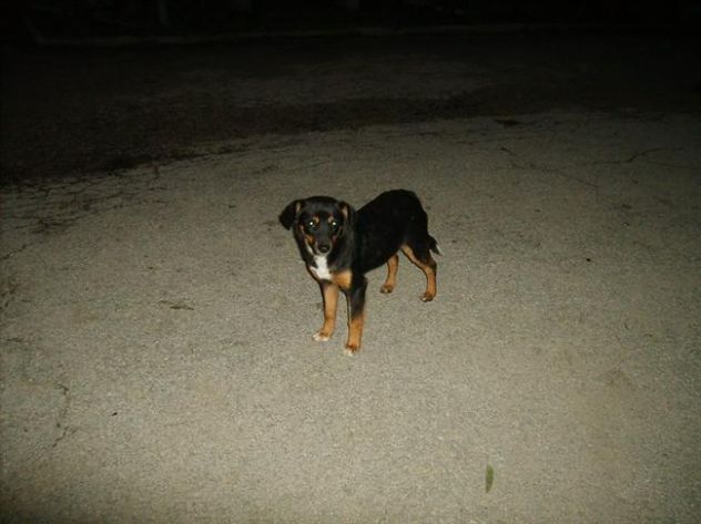 2 dolcissime sorelline in strada! - Foto 4