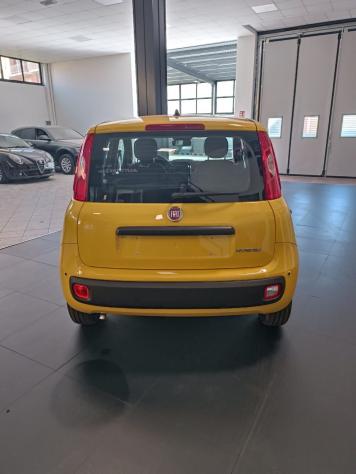 FIAT Panda Panda 1.0 FireFly S&S Hybrid Pop PANDINA DA € 9950 ANCHE A GIUGNO !!! - Foto 6