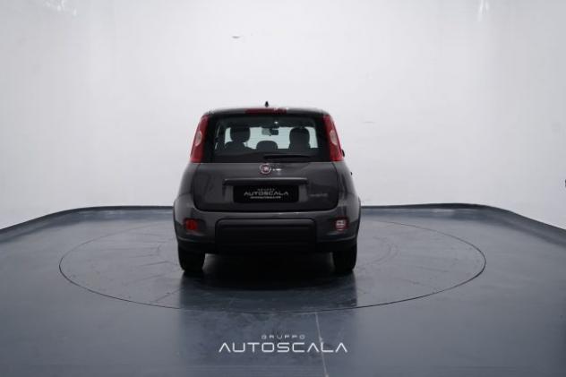 FIAT New Panda 1.0 FireFly City Life S&S Hybrid rif. 22918132 - Foto 5