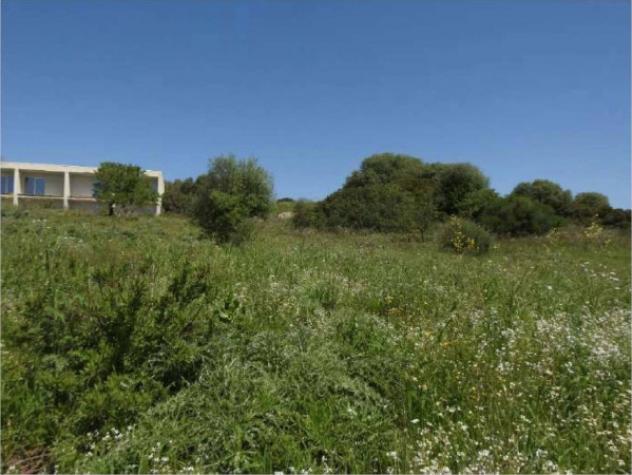 Immobile in asta di 78608 m² in vendita a Sedilo - Foto 14