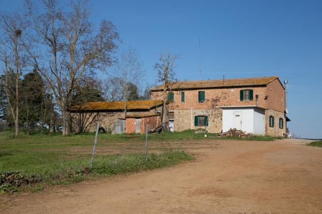 Seminativo in vendita a Civitella Paganico - Foto 2