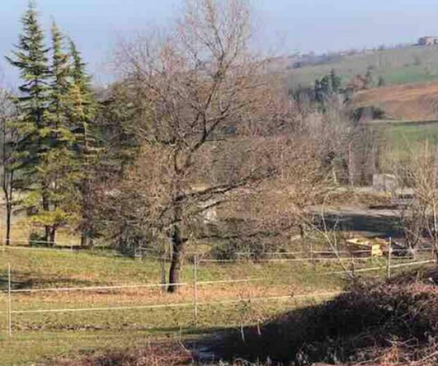 Immobile in asta di 2 m² in vendita a Gazzola