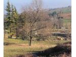 Immobile in asta di 2 m² in vendita a Gazzola