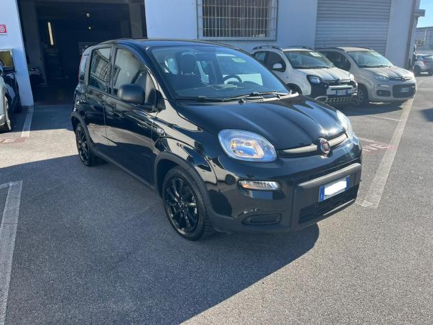 FIAT Panda Panda 1.0 FireFly S&S Hybrid - Foto 3
