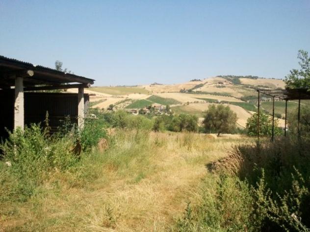 Casale in vendita a Offida - Foto 9