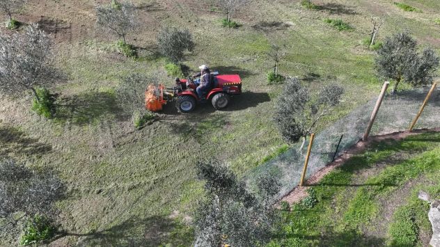 Manutenzione giardini, vigne, pulizia terreni, movimento terra - Foto 2