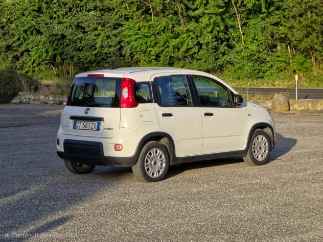 Fiat Panda 1.0 FireFly S&S Hybrid CV-69 E6 Manuale NEO 2024 - Foto 6