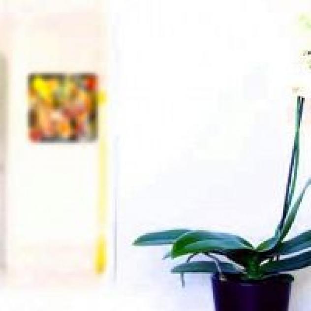 Rubina Belfiore B&B - Foto 4