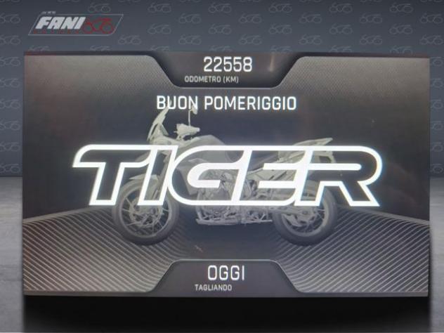 TRIUMPH Tiger 900 Rally Pro - rif. 24085512 - Foto 8