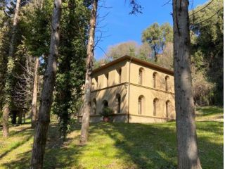 Affittasi A Società 4 Appartamenti In Villino Di Lusso Rif.A223