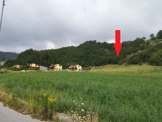 terreno edificabile mq 22000 Privato - Foto 4
