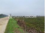 Terreno di 22003 mq  in vendita a Legnago - Rif. 4546370