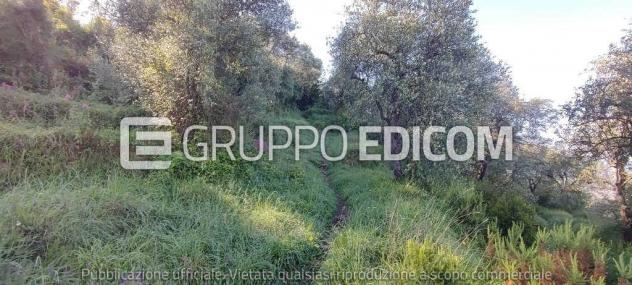 Terreno in vendita a Massa - Rif. 3560037 - Foto 4