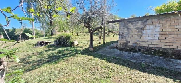 Casale in vendita a Montebello di Bertona - Foto 4
