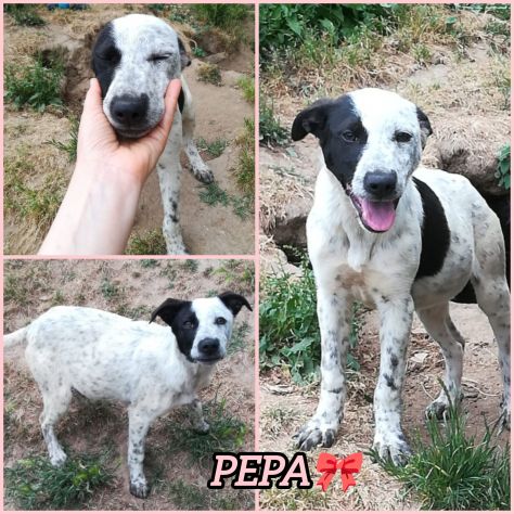 UNA MAMMA PER PEPA