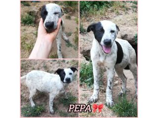 UNA MAMMA PER PEPA