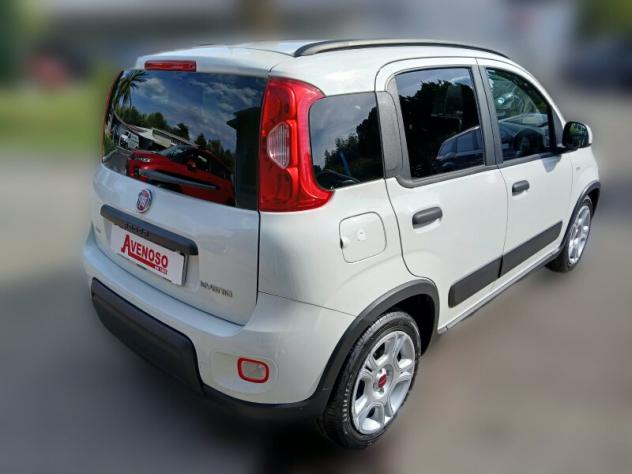 FIAT Panda 3ª serie Panda 1.0 FireFly S&S Hybrid - Foto 3