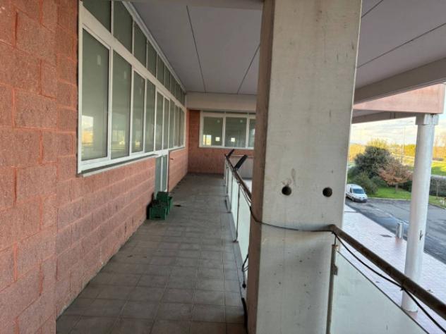 Immobile in asta di 1621 m² in vendita a Crespina e Lorenzana - Foto 10