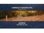 Immobile in asta di 246 m² in vendita a Cornale e Bastida