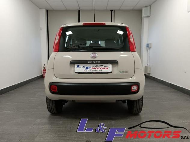 FIAT Panda Panda OK NEOPATENTATI - Foto 6