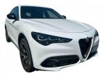 ALFA ROMEO Stelvio 2.2 Turbodiesel 210 CV AT8 Q4 Veloce rif. 23857065