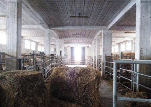 Immobile in asta di 492 m² con più di 5 locali e box auto in vendita a Scurcola Marsicana - Foto 9