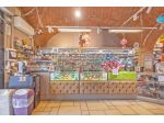 Tabaccheria in vendita a Titignano - Cascina 120 mq  Rif: 1266418