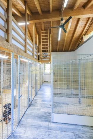 Si propone tenuta adibita ad allevamento per trasferimento attività - Foto 17