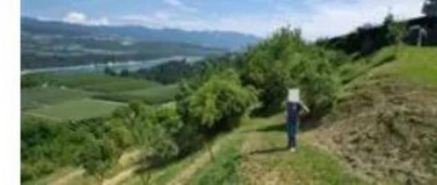 Immobile in asta di 2933 m² in vendita a Cles - Foto 3