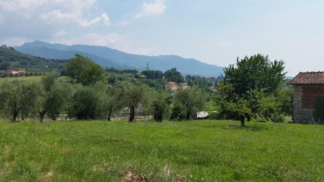 Villa in vendita a Lucca - Foto 4
