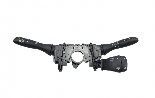 DEVIOLUCI RENAULT Kadjar Serie 255678341R (15)