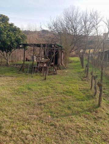 Terreno agricolo in vendita a Poggibonsi 800 mq Rif: 1401129 - Foto 2