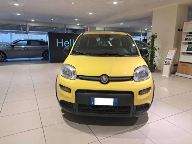 Fiat Panda Pandina III 2024 Pandina 1.0 firefly hybrid s - Foto 3