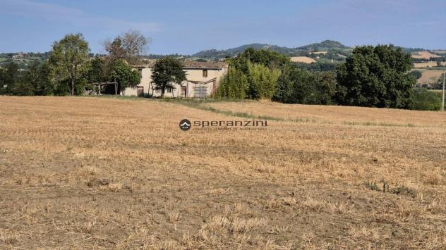 Un angolo di campagna tutto da riscoprire ? colli al metauro, san liberio
immersa nella quiete della campagna marchigiana, questa antica casa colonic - Foto 3