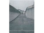 R.G.E. 387/2025 Pavia