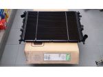RADIATORE+BRACCI:FORD:ESCORT / ORION3:13-14-16-18-16V-XR3i-RS-18D-TD.DAL'90AL'01
