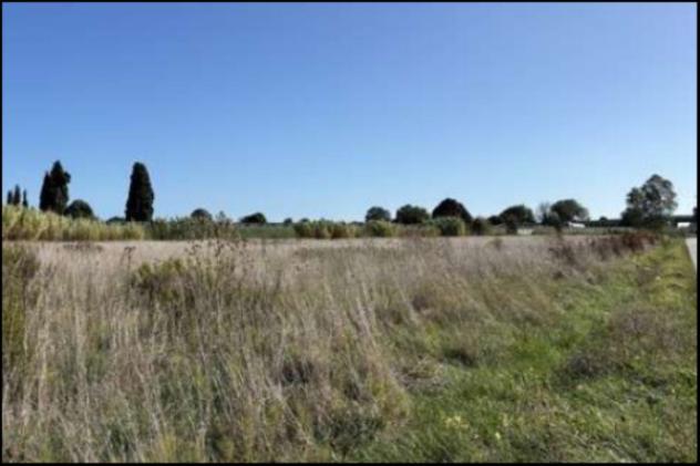 Immobile in asta di 29170 m² in vendita a Porto Recanati - Foto 6