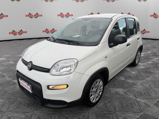 FIAT Panda 1.0 FireFly 70cv Hybrid, 5 POSTI, CARPLAY, PRONTA CONSEGNA! - Foto 3