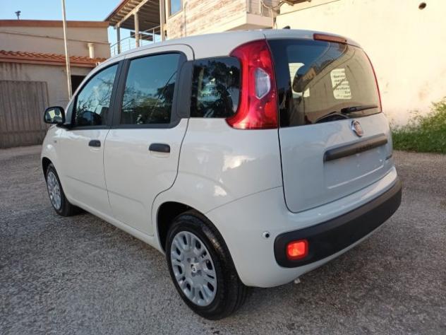 FIAT Panda 1000 HYBRID PANDINA ICON 70CV 5P PACKCITY ITALIA rif. 23999345 - Foto 3