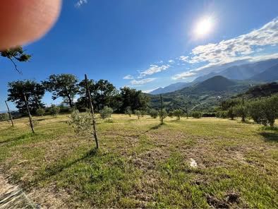 Vendesi azienda agricola biologica con uliveto, querce e casale – Altomonte (CS) - Foto 4