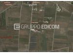 Terreno di 2776 mq  in vendita a Guagnano - Rif. 4540535