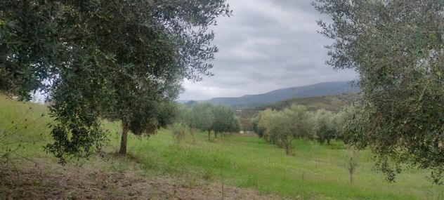 VENDITA TERRENNO CON FABBRICATO - Foto 4