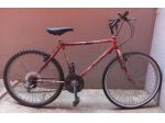 Bicicletta mtb