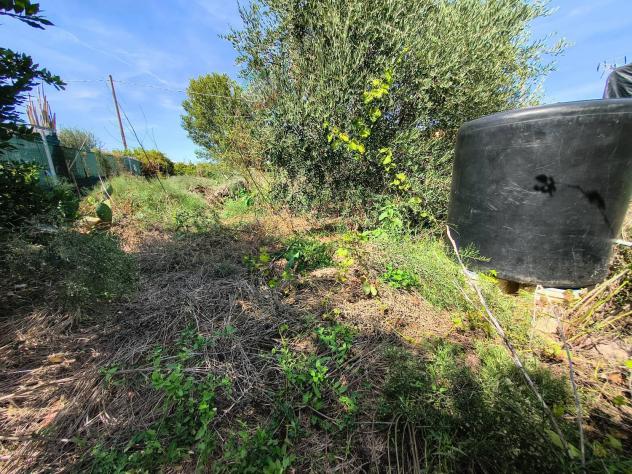 Terreno Agricolo - San Giovanni in Marignano . Rif.: Terrasgm10 - Foto 13